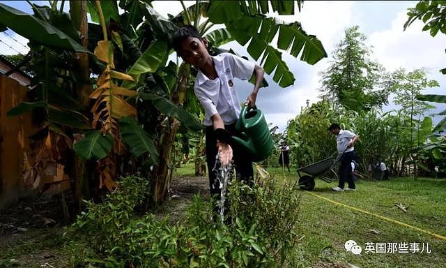 让小学生沉迷学习不想回家的学校，居然真的给一个校长搞出来了...