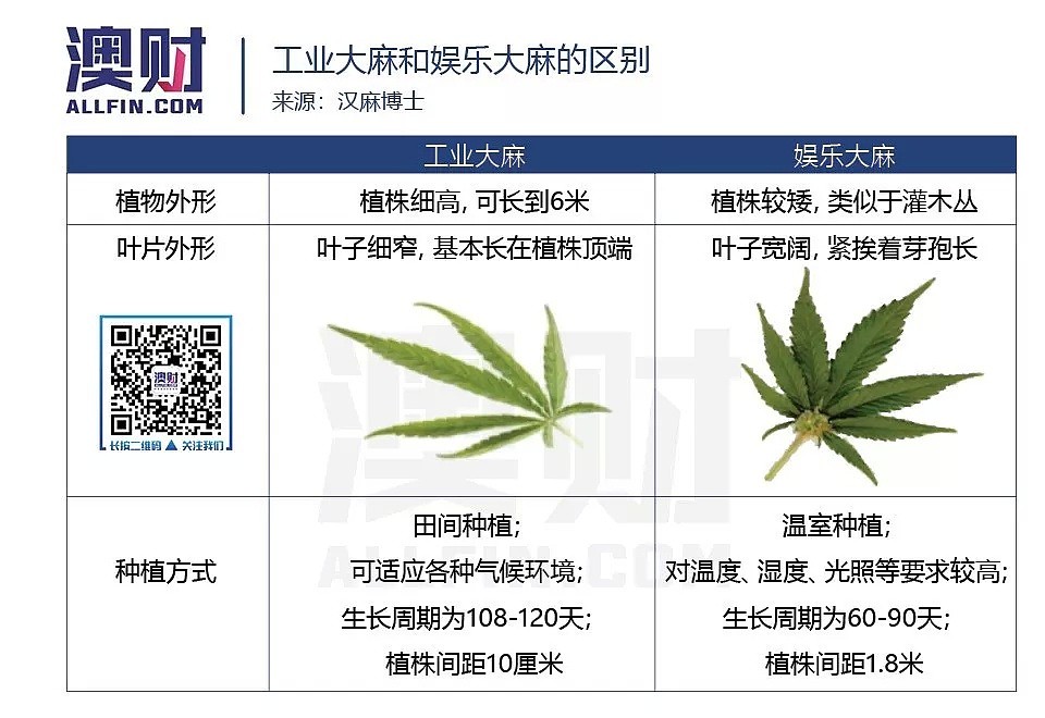 似毒非毒，工业大麻和医用大麻的增长空间究竟有多大 - 2