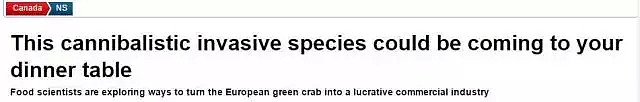 不限量，随便抓！大批绿蟹入侵墨尔本？！维州政府发布紧急通告！中国网友：说吧，要吃成濒危还是灭绝 - 19