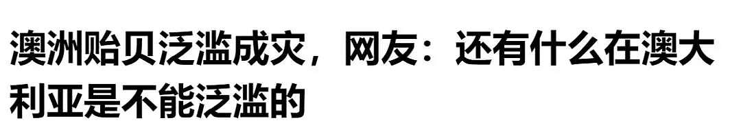 不限量，随便抓！大批绿蟹入侵墨尔本？！维州政府发布紧急通告！中国网友：说吧，要吃成濒危还是灭绝 - 29