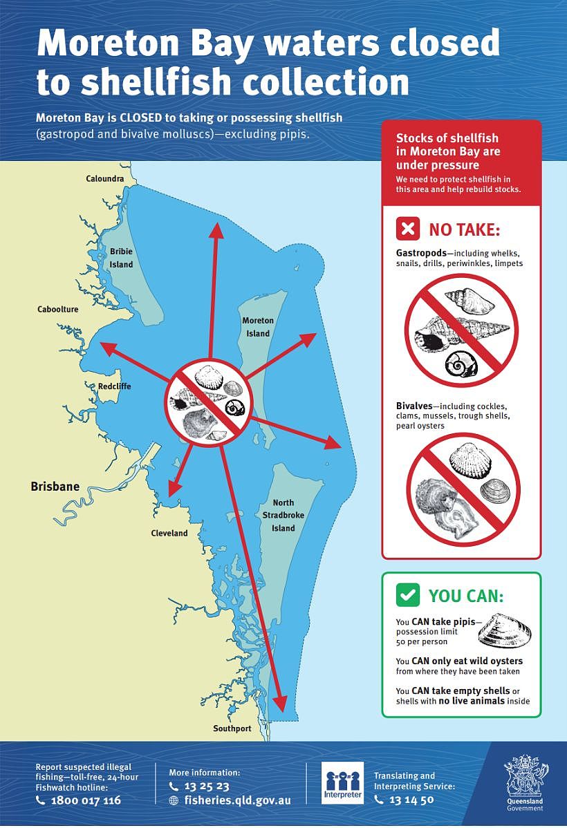 昆州政府渔农部提醒民众摩顿湾水域将禁止捕捞腹足类和双壳贝类海洋生物 - 2