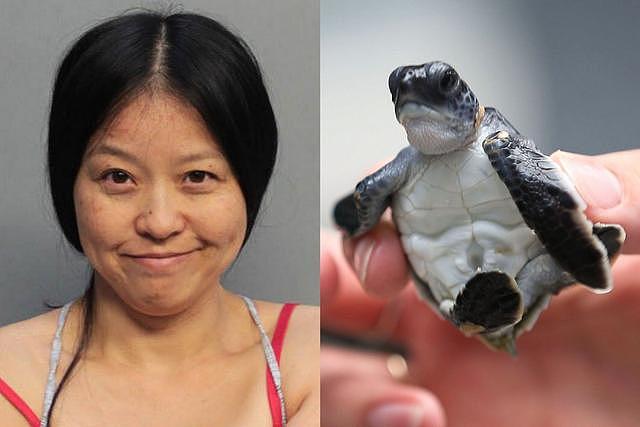 华裔女子光脚狂踩美国海龟蛋，网友：绑了她，喂鲨鱼