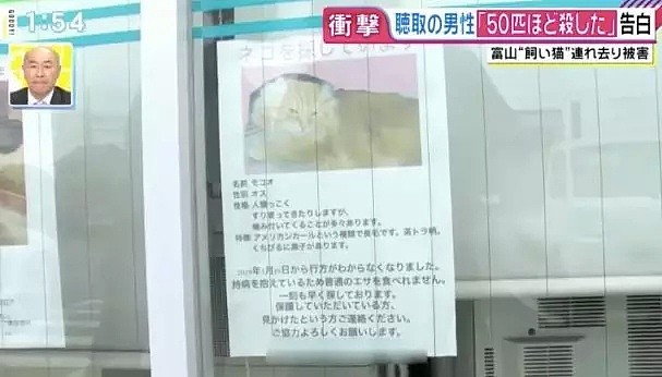 开水烫猫！日本“虐猫狂魔”一年半杀喵50只，采访时还说：马上弄死太无趣了（组图） - 5
