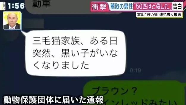 开水烫猫！日本“虐猫狂魔”一年半杀喵50只，采访时还说：马上弄死太无趣了（组图） - 7