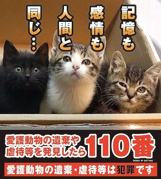 开水烫猫！日本“虐猫狂魔”一年半杀喵50只，采访时还说：马上弄死太无趣了（组图） - 24