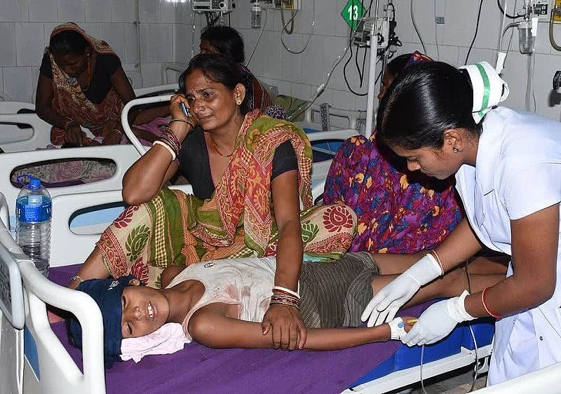 印度东部一邦急性脑炎肆虐致死103名儿童，荔枝是主因？（图） - 1