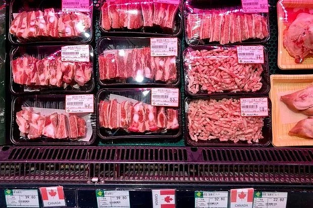 中国禁止进口加拿大猪肉 加元狂跌 只因发现…（组图） - 3