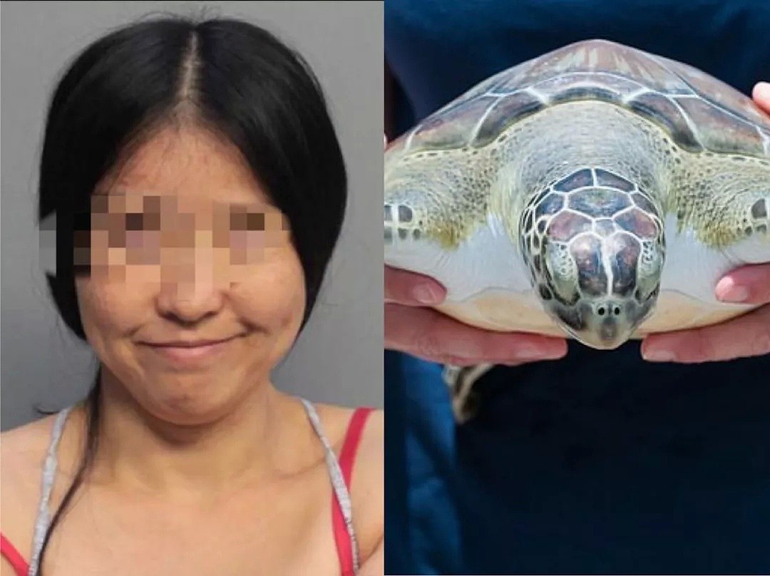 丢人！41岁华裔女子在海滩上踩踏猛戳海龟窝，或被控重罪！ - 1