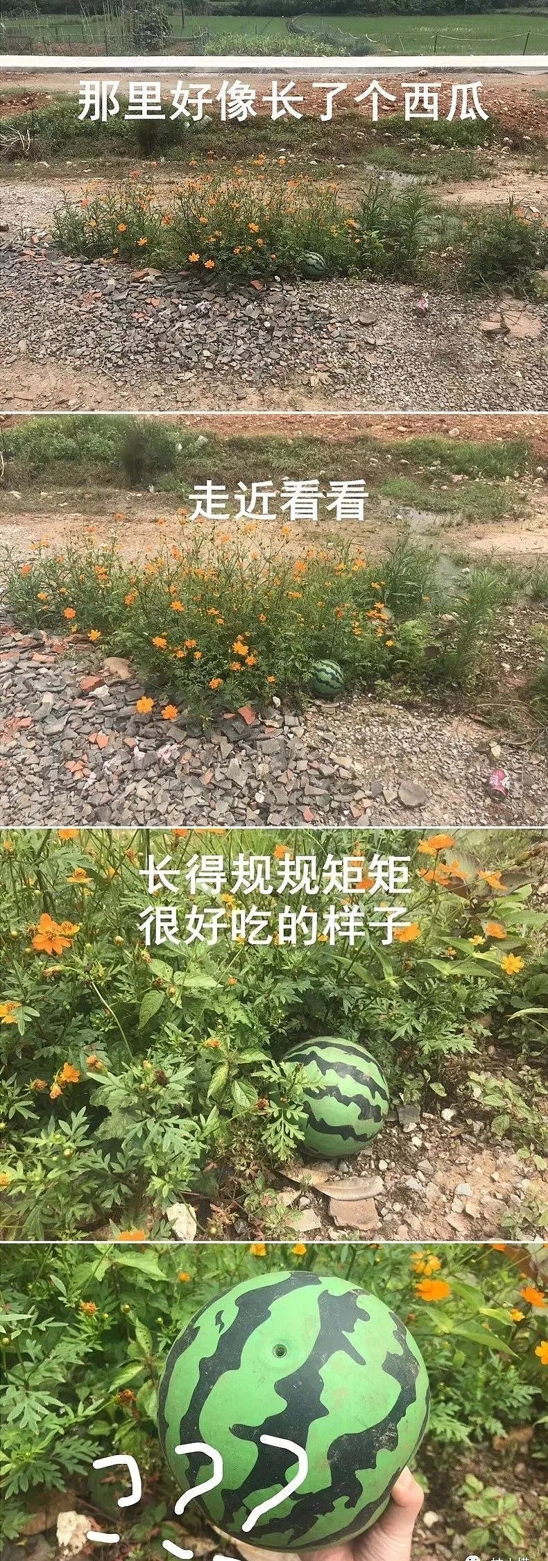 朋友借钱不还怎么办？ 花式讨债法了解一下……哈哈哈哈哈哈哈哈哈哈（组图） - 10