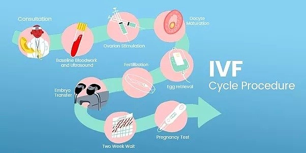 重大利好！悉尼妈妈们再也不用为孩子的早餐发愁了！刚刚，新州政府发布了重磅福利... - 10