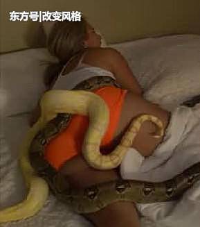 外国男子朝熟睡女友床上放大蟒蛇，女友反击在男友床上放鞭炮（组图） - 1