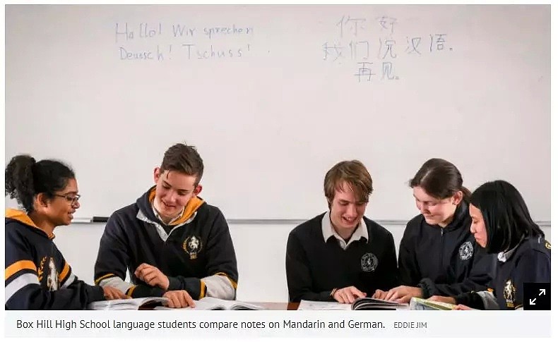 中文普通话 | 维州公立学校中的第一外语 - 1