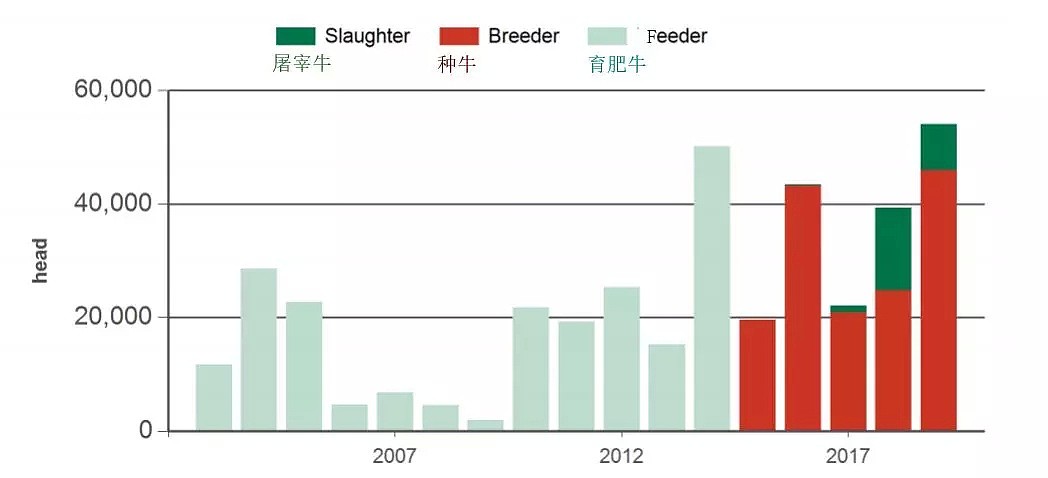 澳对华种牛出口涨超八成 助力全澳活牛出口稳升 - 2