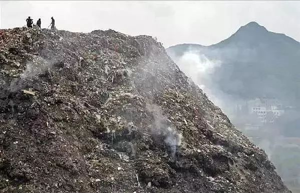 残酷现实！干掉洋垃圾后，中国和本土垃圾的战争，才刚刚开始....（组图） - 5