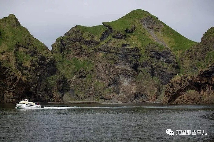 上海的两只白鲸宝宝要去冰岛回归海洋了！放生前居然还要增肥？（组图） - 5