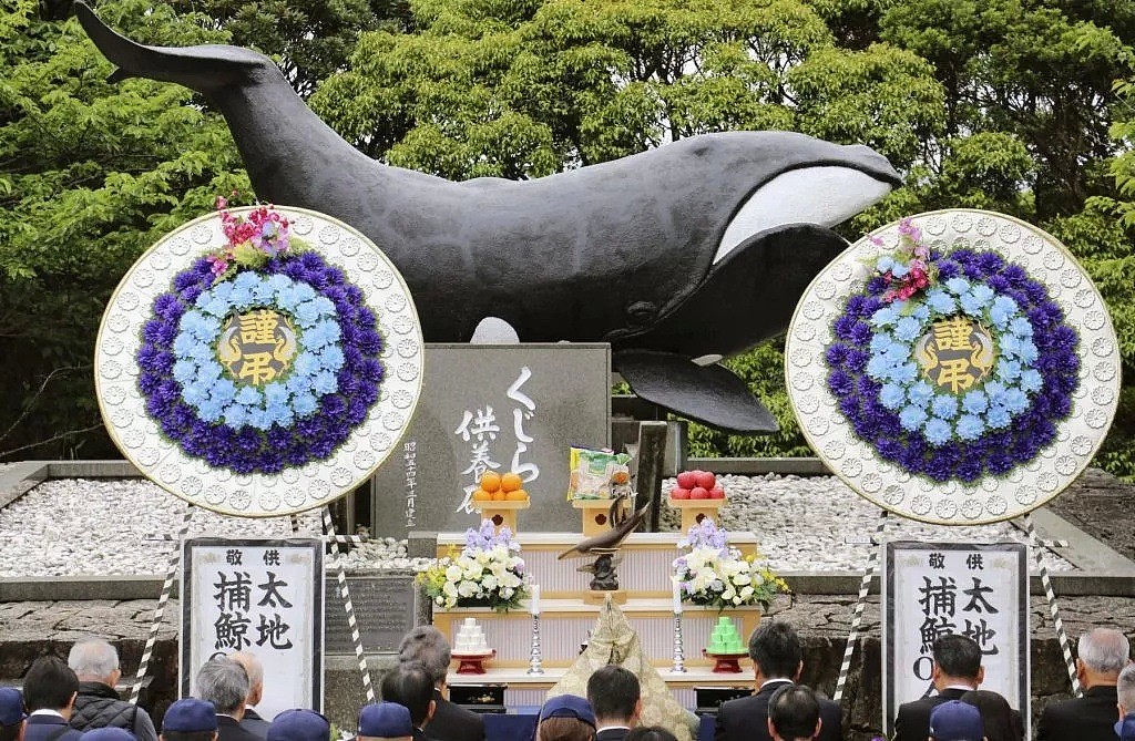 日本即将重新杀戮捕鲸！这一次，没有国家可以阻止他们...（组图） - 9