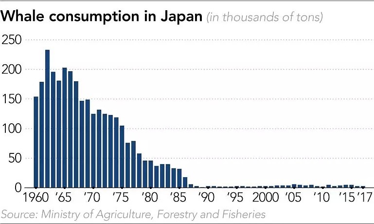 日本即将重新杀戮捕鲸！这一次，没有国家可以阻止他们...（组图） - 19