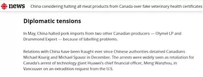 大丑闻！加拿大政府都向中方承认了，加媒还在厚颜“带节奏”（组图） - 4