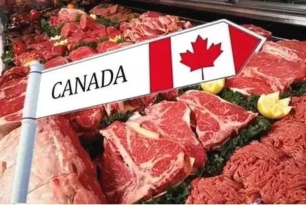 突发！中国称加拿大猪肉伪造188份合格证书！涉刑事犯罪（图） - 2