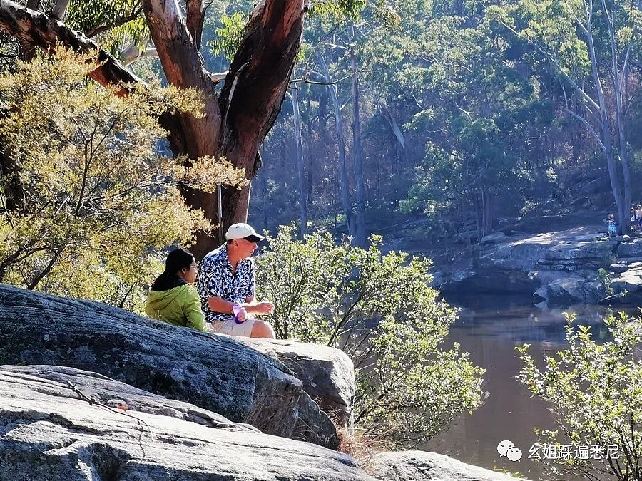 很多人都不知道的Parratta湖，风景绝好，免费BUS直达，带上狗子带上她一起去吧 - 21