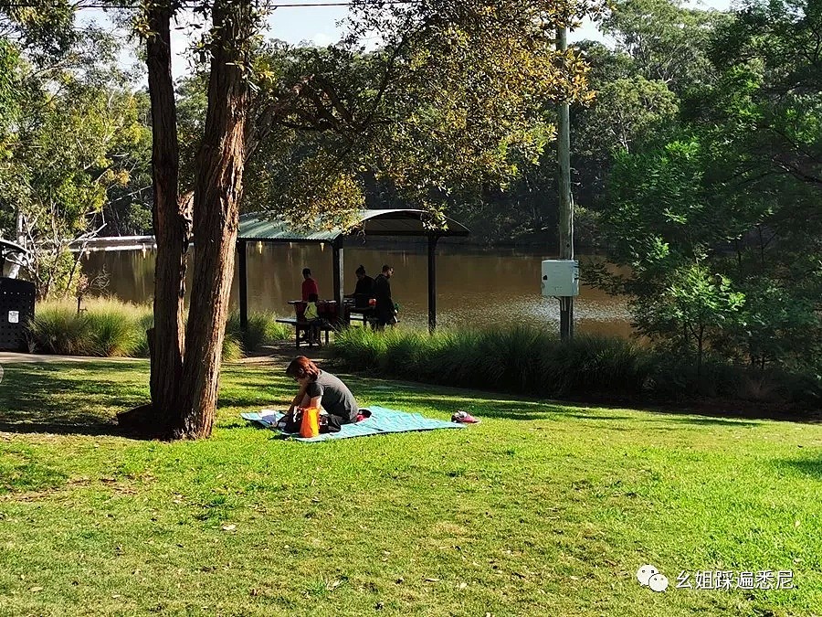 很多人都不知道的Parratta湖，风景绝好，免费BUS直达，带上狗子带上她一起去吧 - 42