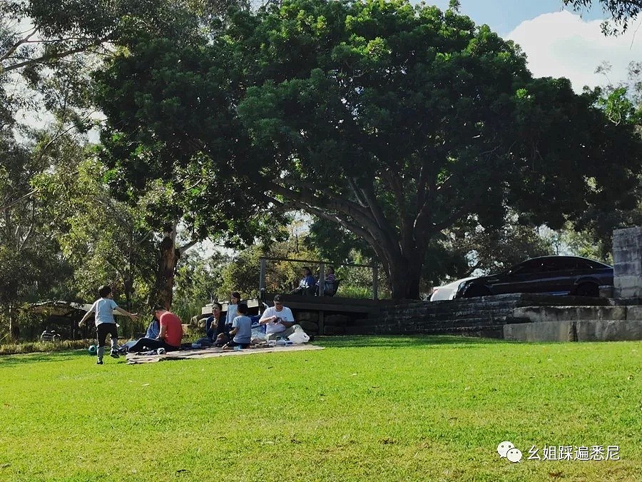 很多人都不知道的Parratta湖，风景绝好，免费BUS直达，带上狗子带上她一起去吧 - 43