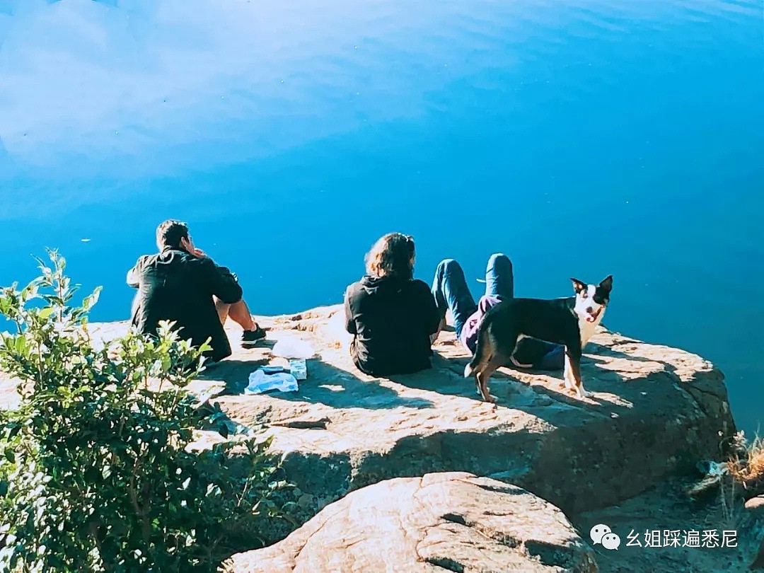 很多人都不知道的Parratta湖，风景绝好，免费BUS直达，带上狗子带上她一起去吧 - 49