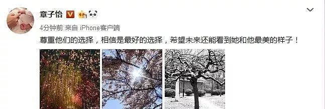 宋慧乔从新加坡回去没多久就官宣离婚！超多内幕曝出......（组图） - 48