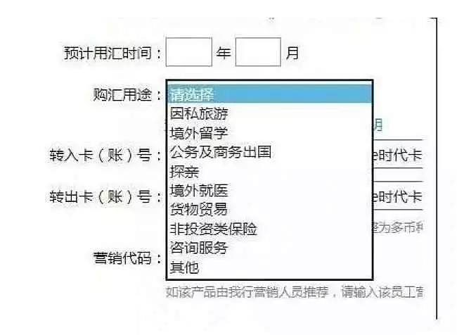 中国最高法最高检联合宣布：个人海外购房涉嫌违法，刑期5年以上！（组图） - 9