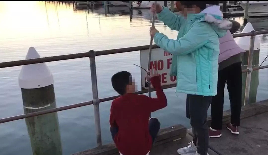 华人家庭在墨尔本非法捕蟹惹众怒！同胞怒斥：无视警告，丢中国人的脸！（组图） - 6