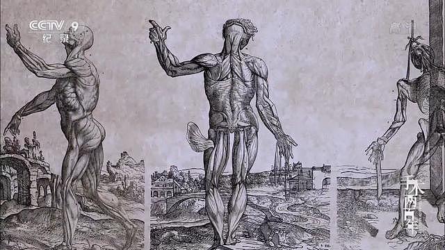 200年前的手术有多可怕，我们今天的医学就有多伟大