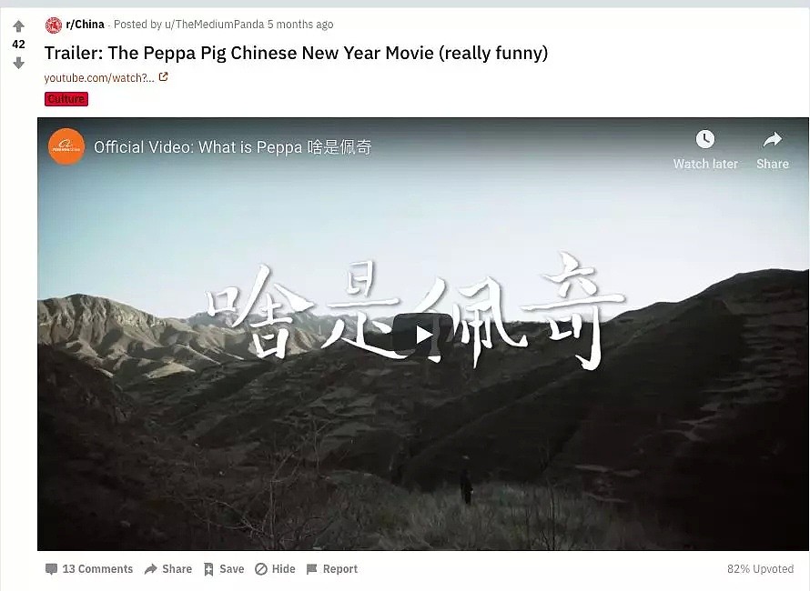 这些中国制造沙雕视频,承包了老外一整年的笑点（组图） - 20