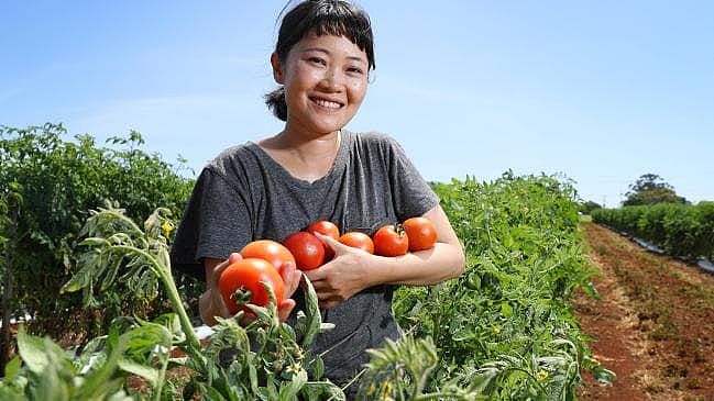 超全！7月1日起，澳人将迎来这些重大变化，与你的钱包签证息息有关！（组图） - 39