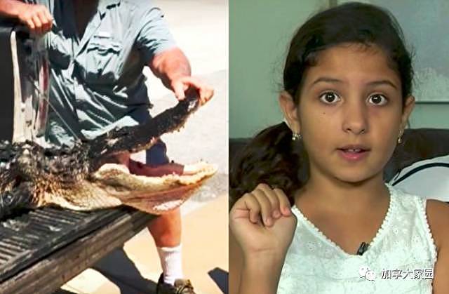 10岁女童被鳄鱼咬住腿！生死之间，她突然有一个疯狂想法（组图） - 1
