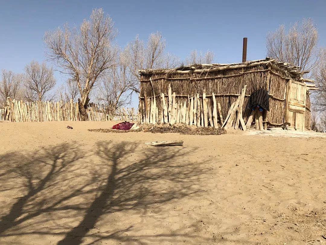 震惊世界，新疆沙漠深处发现长尾巴野人，神秘民族在此隐居已百年（组图） - 7