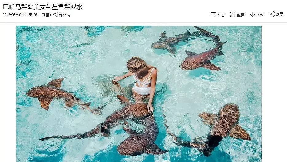 华人爱去的著名旅游景点闹出人命：21岁女生命丧鲨鱼之口！（组图） - 8