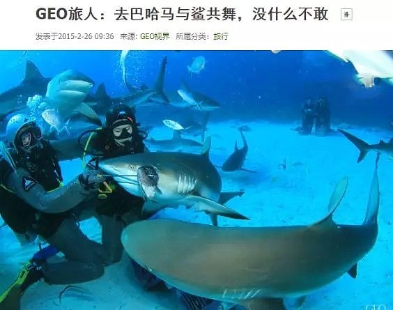 华人爱去的著名旅游景点闹出人命：21岁女生命丧鲨鱼之口！（组图） - 9