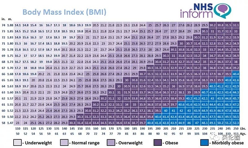 梅根佛系2个月后回归