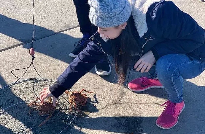 澳洲海岸被蜘蛛蟹包围！中国吃货该出动了！数以万计的美食上岸！细数那些澳洲灾难美食！ - 22