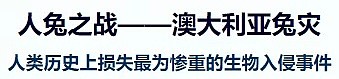 澳洲海岸被蜘蛛蟹包围！中国吃货该出动了！数以万计的美食上岸！细数那些澳洲灾难美食！ - 63