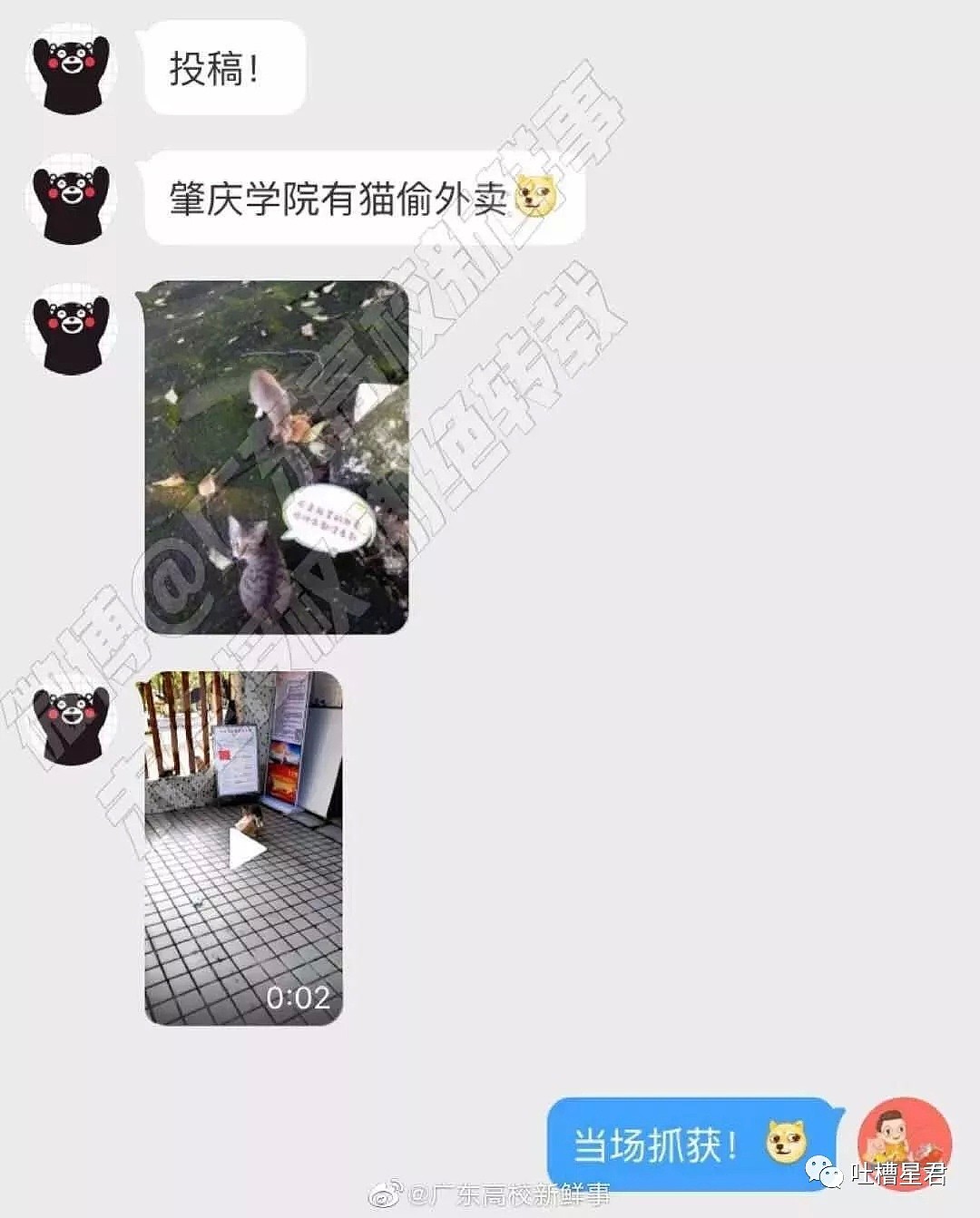 花10000块拍的照片晒朋友圈，结果被前女友嘲笑...哈哈哈哈哈网友评论惊人！！（组图） - 30