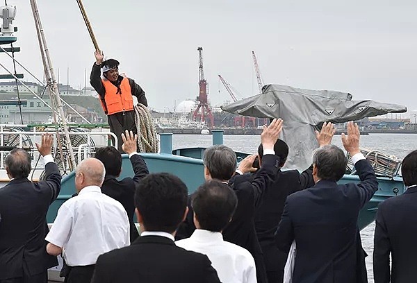 时隔32年，日本今起重启商业捕鲸，为什么宁犯众怒也要这样做？背后原因是…… - 2