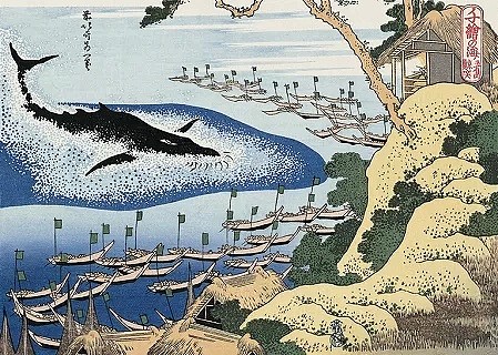 时隔32年，日本今起重启商业捕鲸，为什么宁犯众怒也要这样做？背后原因是…… - 4