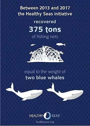 30万鲸类每年因它而死…你不知道的海洋杀手，只因人类的这个举动！（组图） - 34