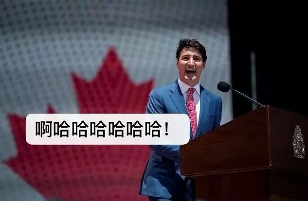 这个加拿大人扬言“对抗中国”，结果被网友喷惨了！（组图） - 18