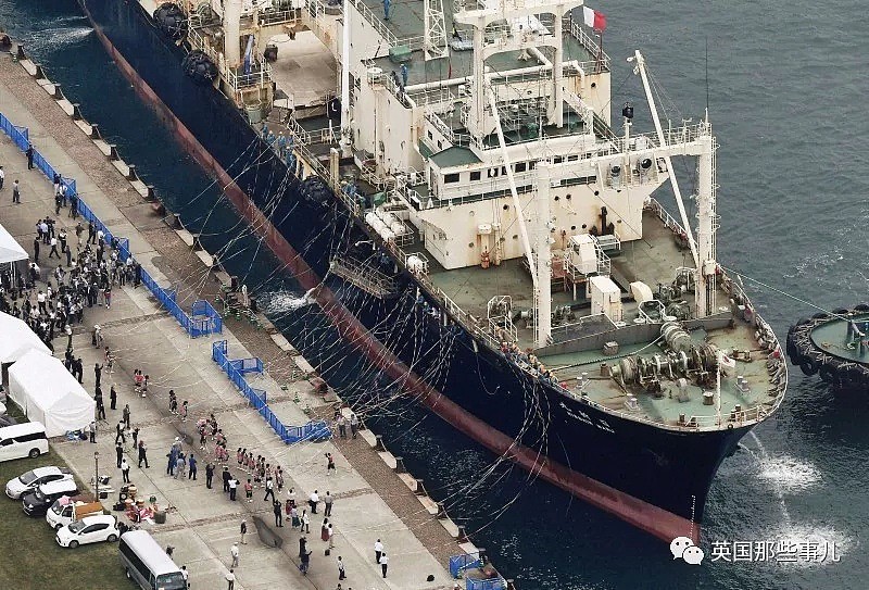 从假装科研转为光明正大，日本时隔31年重启商业捕鲸，头天2只小须鲸就遭殃了（组图） - 1