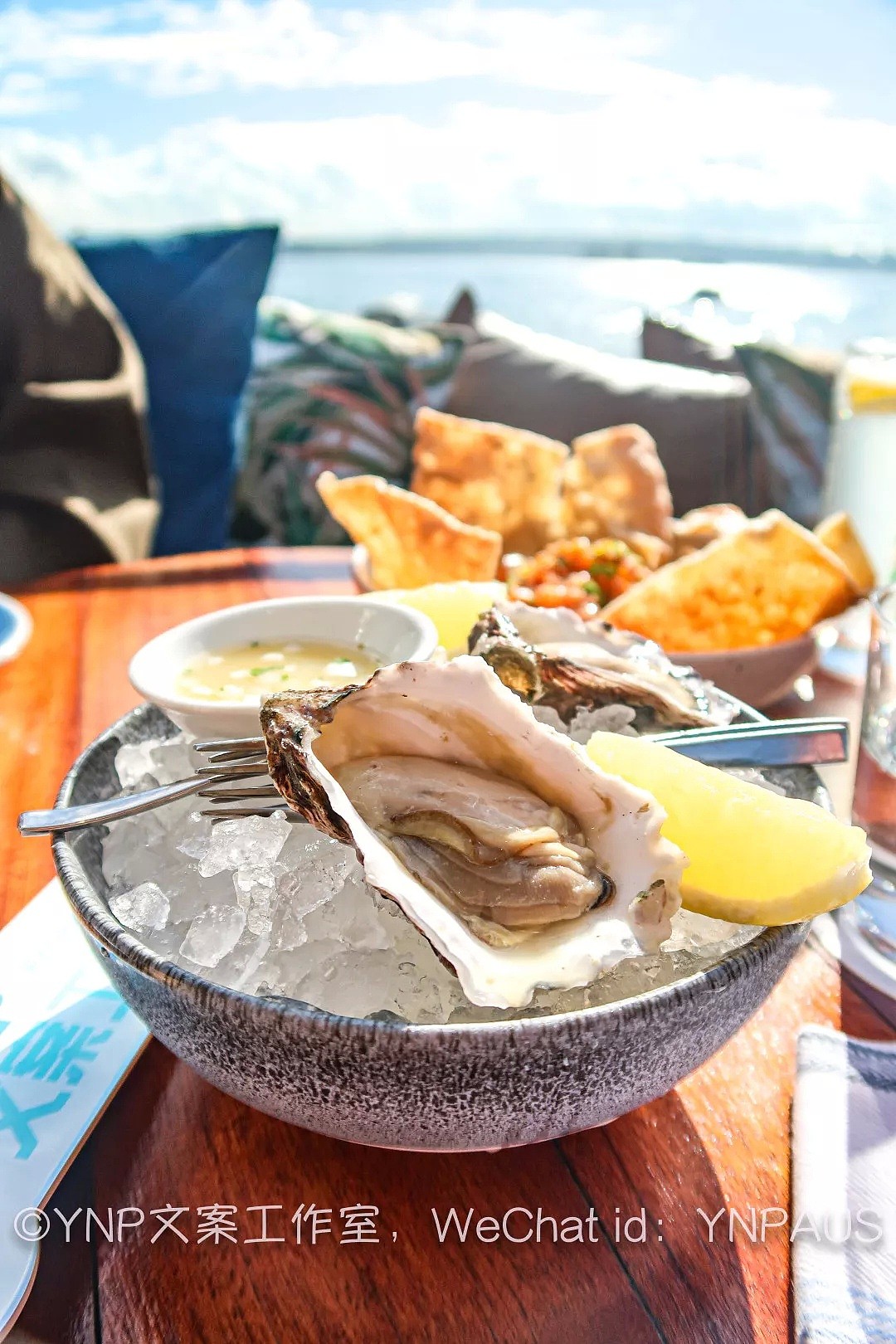超赞啊！背靠波光粼粼的大海吃Brunch，悉尼绝对值得去一次海景餐厅！ - 18