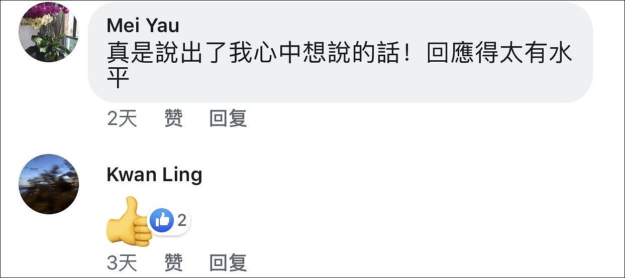 香港大爷怒斥外国干预香港司法：他们知道什么？