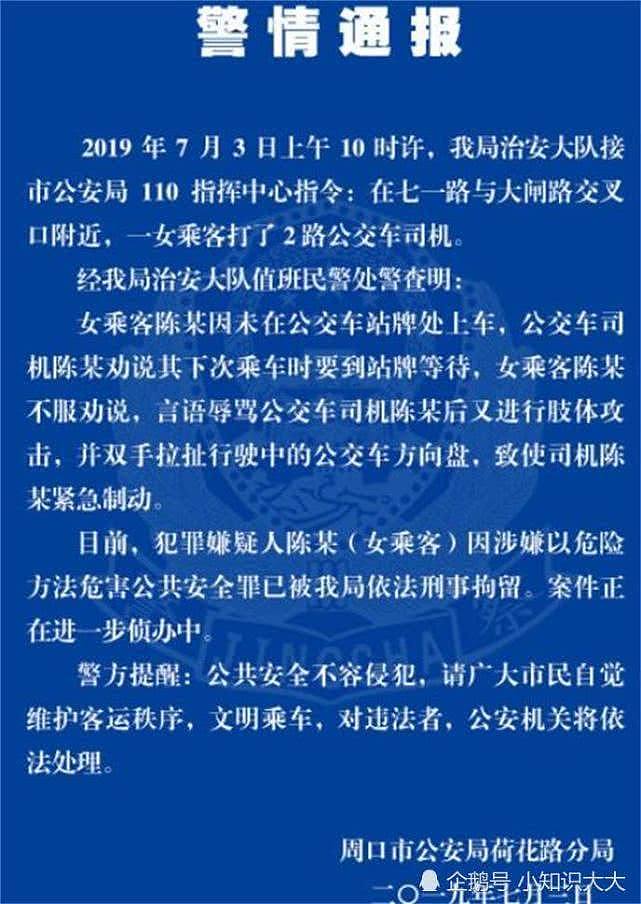 这个河南女乘客好烈！不顾形象拳打、脚踹公交司机，已被刑拘 （组图） - 5