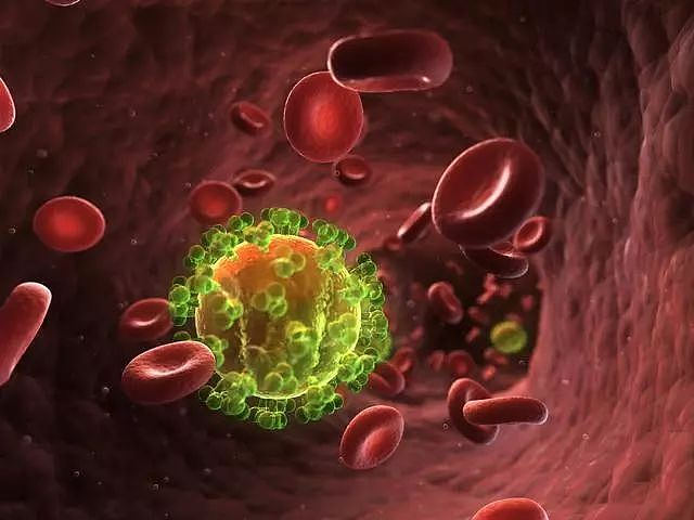艾滋病有救了？！获进展：美国科学家从老鼠DNA中清除HIV病毒（组图） - 4
